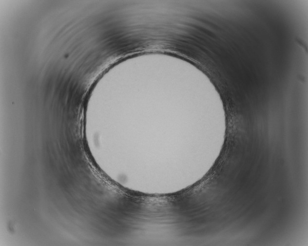 X0000103941126200810311519