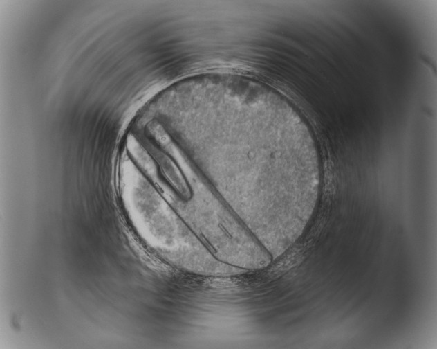 X0000103941128200810311519