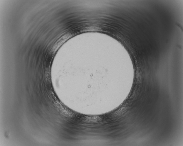 X0000103941129200810311519