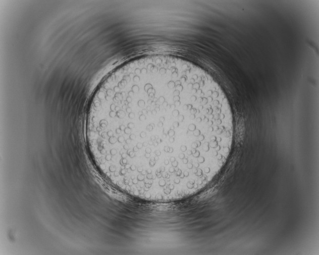 X0000103941130200810311519