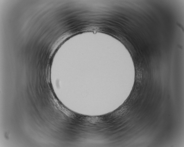 X0000103941131200810311519