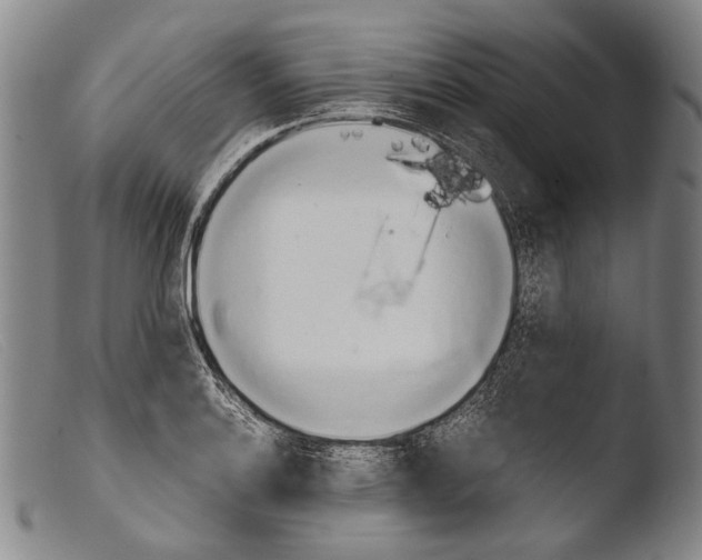 X0000103941132200810311519