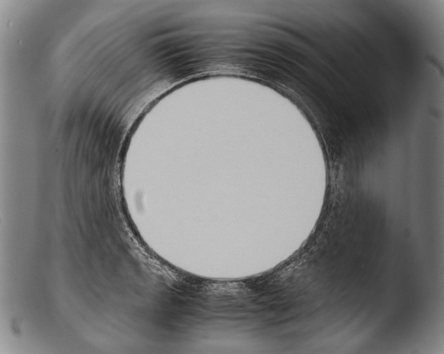 X0000103941133200810311519