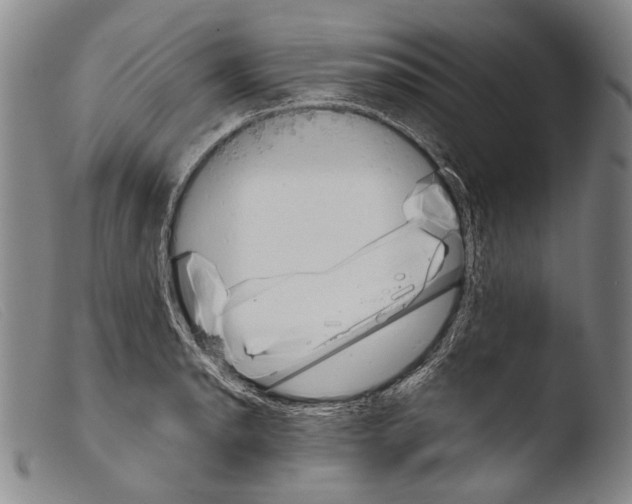 X0000103941134200810311519