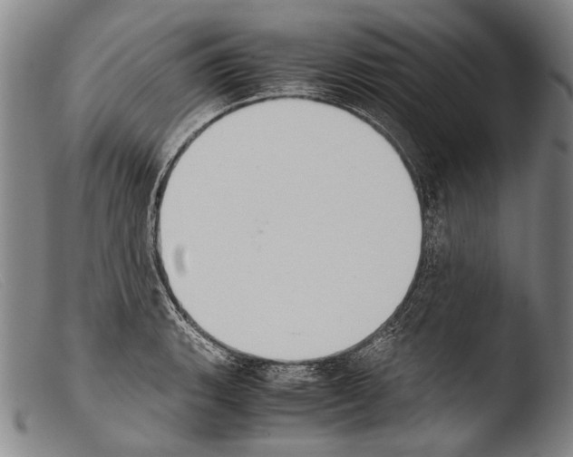 X0000103941135200810311519