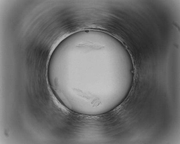 X0000103941136200810311519