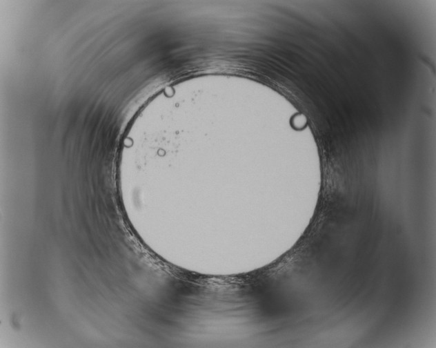 X0000103941138200810311519