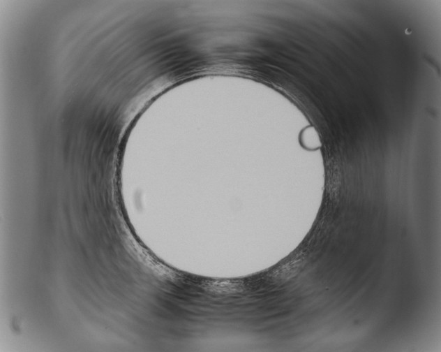 X0000103941139200810311519