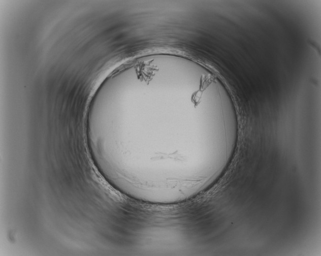 X0000103941140200810311519