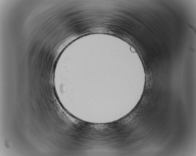 X0000103941141200810311519