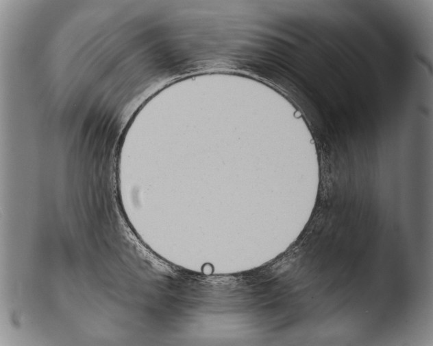 X0000103941142200810311519