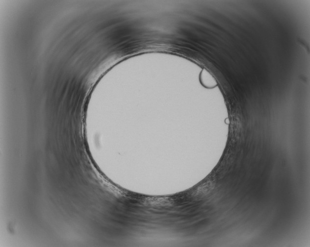 X0000103941143200810311519