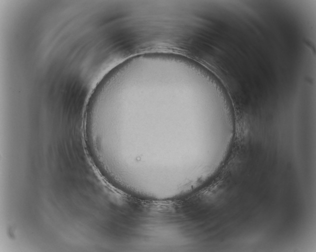 X0000103941144200810311519