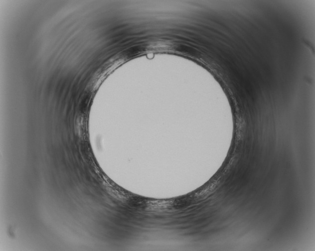 X0000103941145200810311519