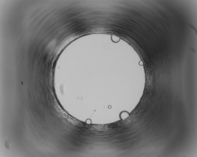 X0000103941147200810311519