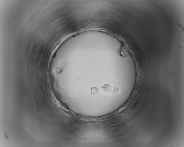 X0000103941148200810311520