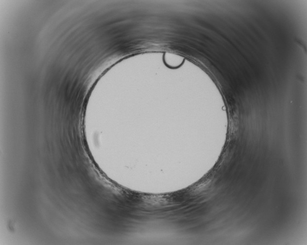 X0000103941149200810311520