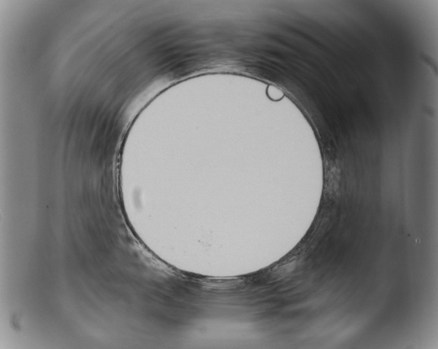 X0000103941151200810311520