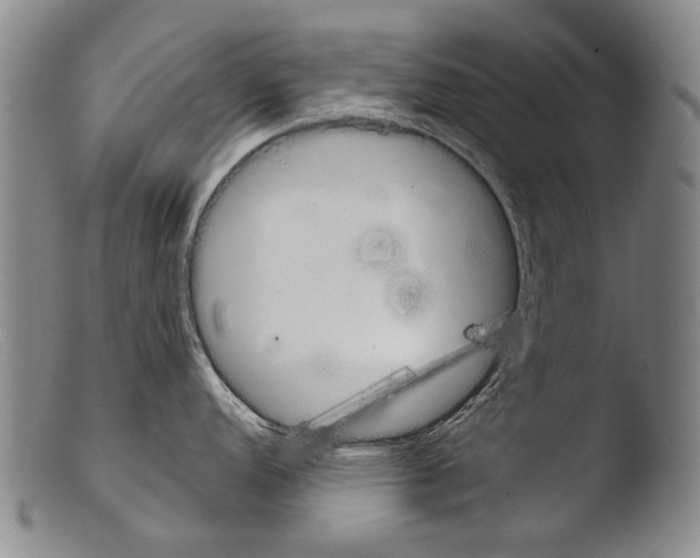 X0000103941152200810311520