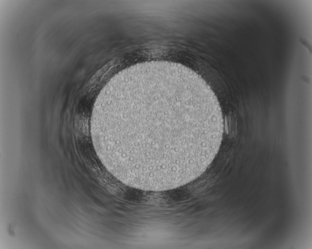 X0000103941155200810311519