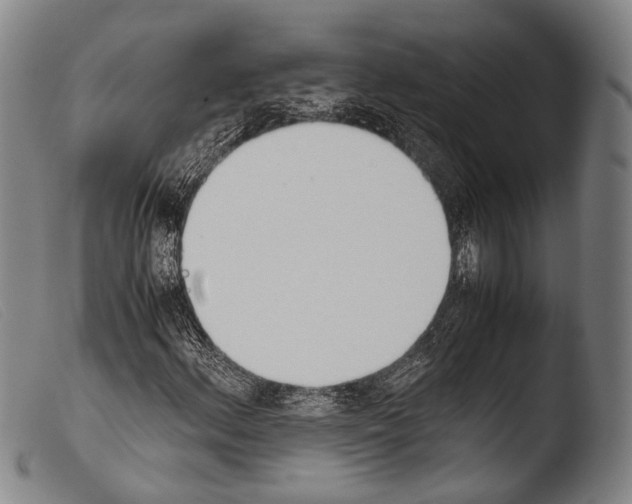 X0000103941156200810311519