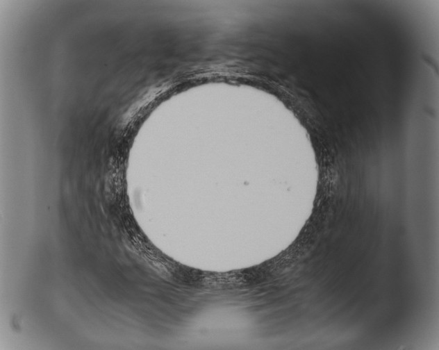 X0000103941159200810311519