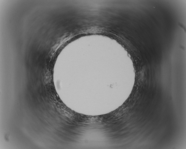 X0000103941160200810311519