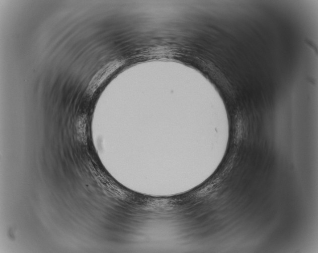 X0000103941162200810311519