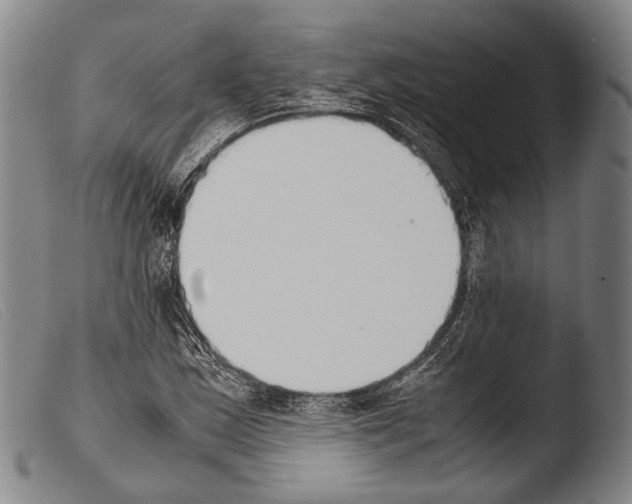 X0000103941163200810311519