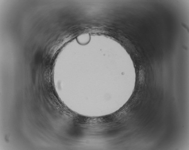 X0000103941165200810311519