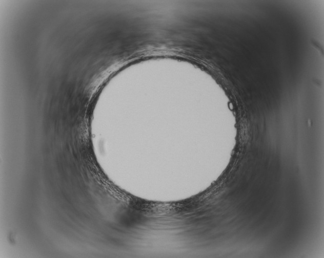 X0000103941167200810311519