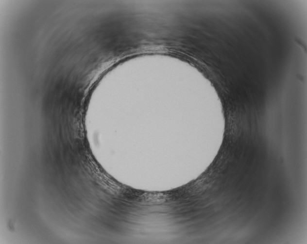 X0000103941168200810311519