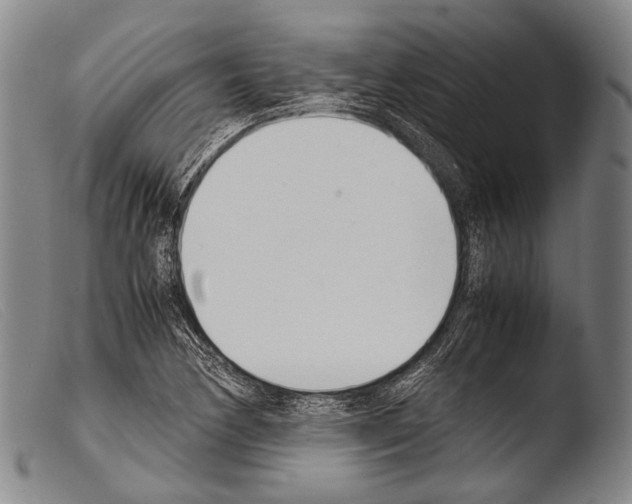 X0000103941170200810311519