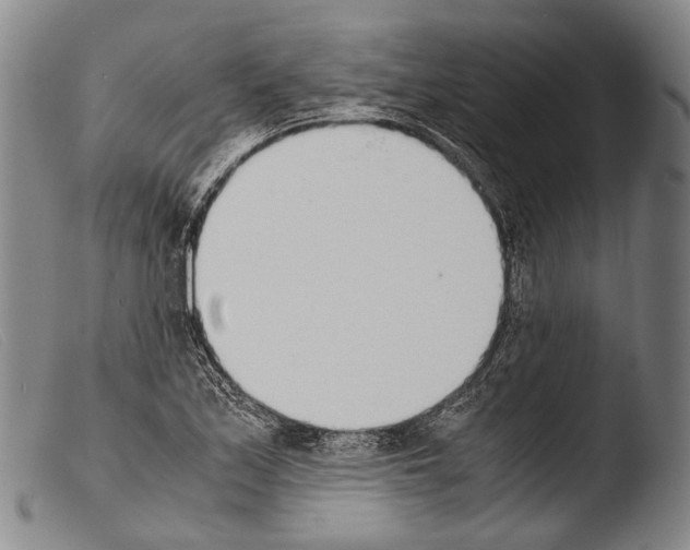 X0000103941171200810311518