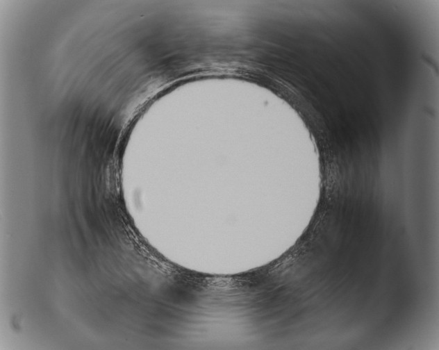 X0000103941172200810311518