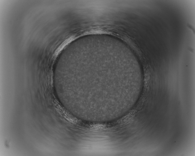 X0000103941173200810311518