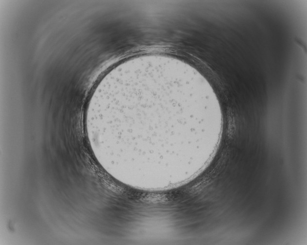 X0000103941174200810311518