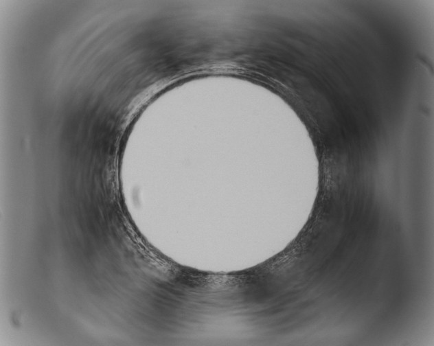 X0000103941176200810311518