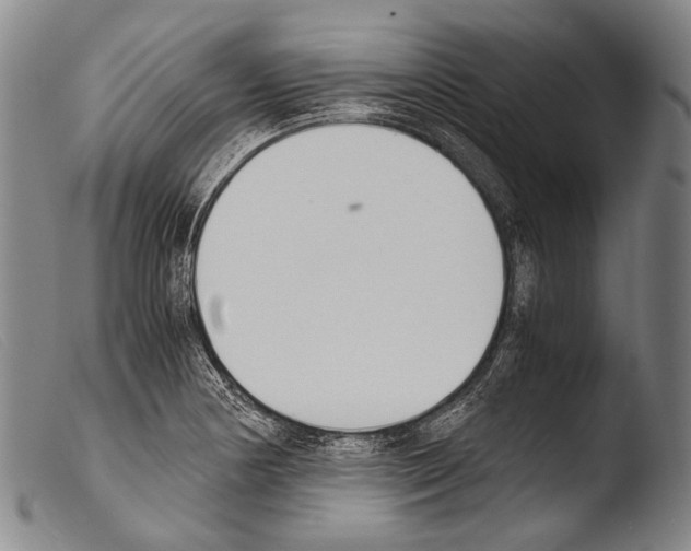 X0000103941178200810311518