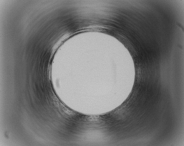 X0000103941180200810311518