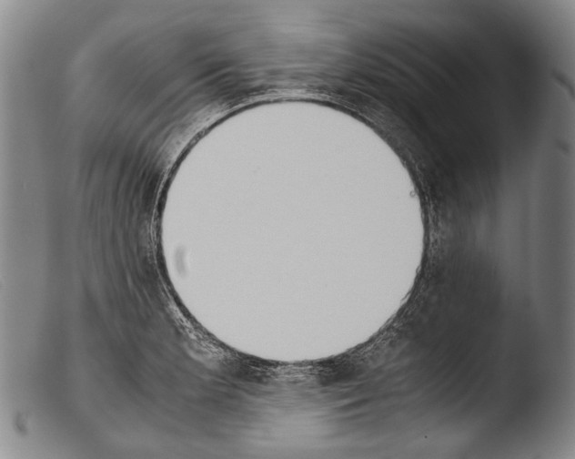 X0000103941181200810311518