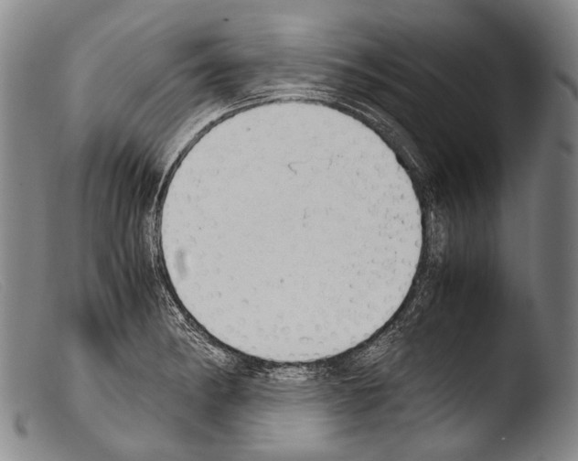 X0000103941182200810311518