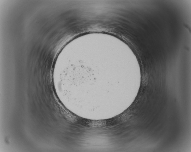 X0000103941183200810311518