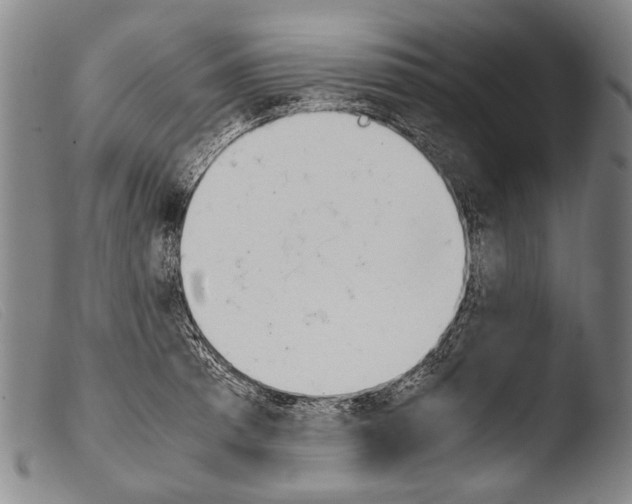 X0000103941185200810311518