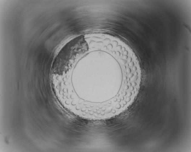 X0000103941187200810311518