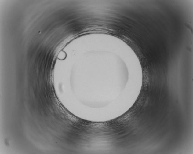 X0000103941188200810311518