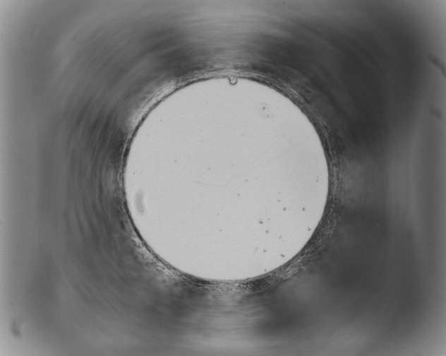 X0000103941189200810311518