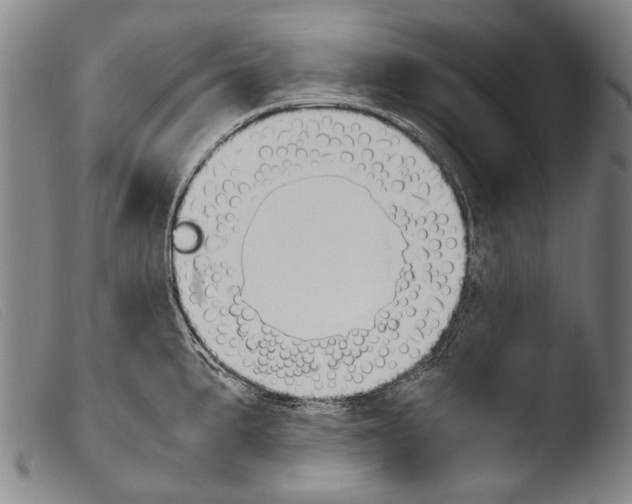 X0000103941191200810311518