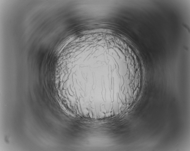 X0000103941193200810311518