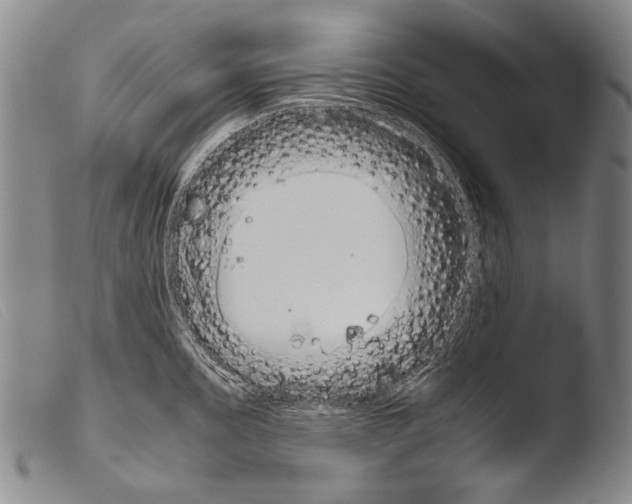 X0000103941195200810311518